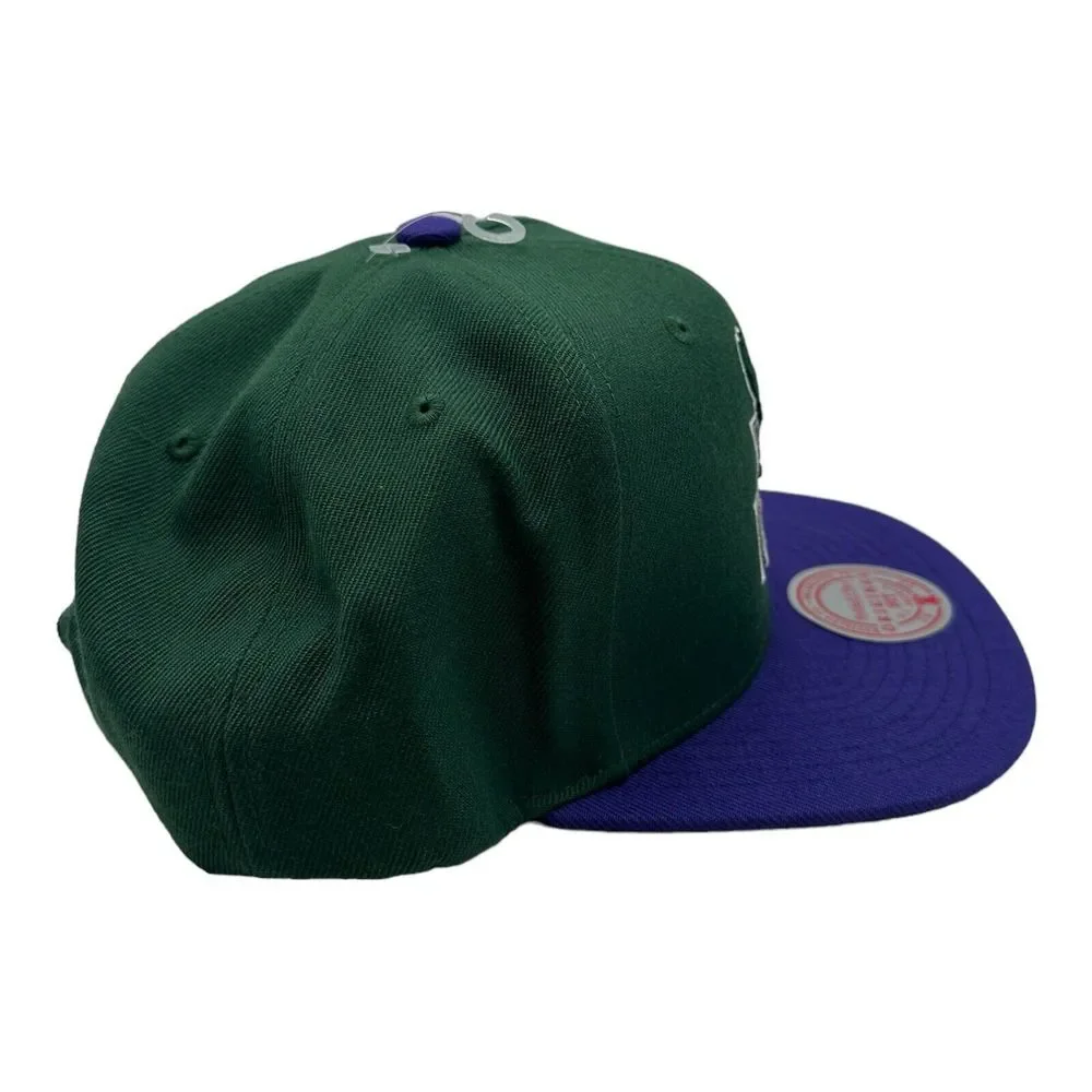 Milwaukee Bucks Mitchell & Ness NBA Snapback Hat Cap Hardwood Classics HWC Retro